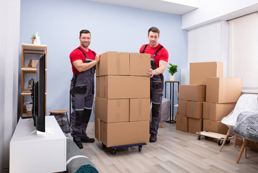 Eco-Friendly Moving Company With Sustainable Practices