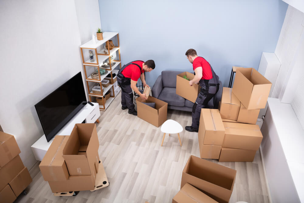 Expert Moving Services in Escondido