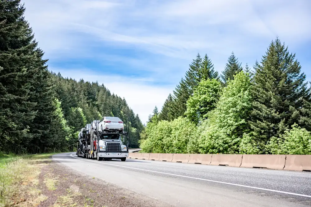 Luxury Vehicle Preservation Strategies